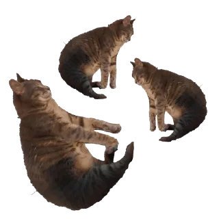 Стикер Tikhon the Lord - 1