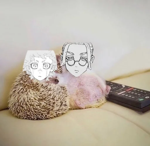 Стикер ткш бог :: @fStikBot - 5