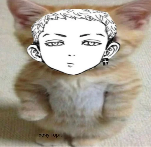 Стикер ткш бог :: @fStikBot - 2