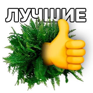 Стикер TM2425 - 7