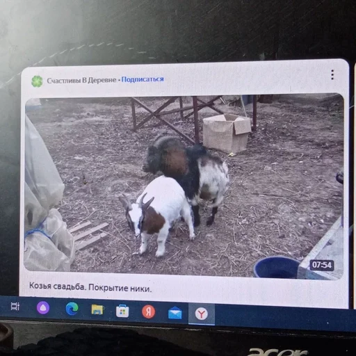 Стикер хуй :: @fStikBot - 5