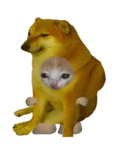 Sticker KotЫ :: @fStikBot - 11