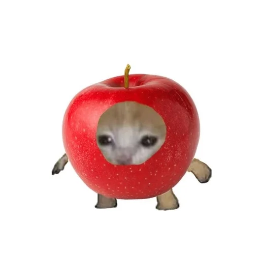 Sticker KotЫ :: @fStikBot - 9