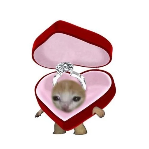 Sticker KotЫ :: @fStikBot - 3