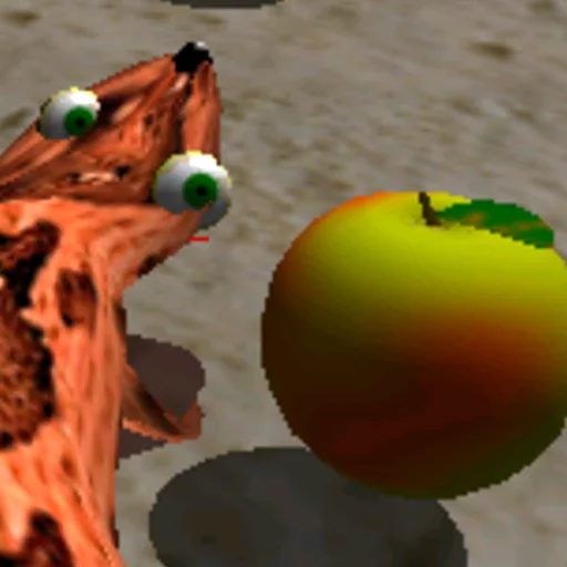 ground outdoor beach