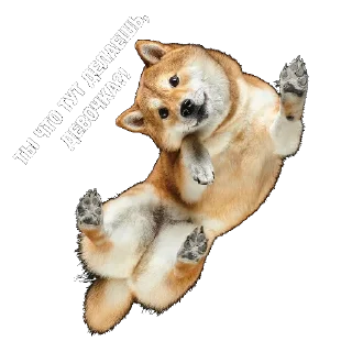 Стикер #ЗБС @tg_zbs - 5