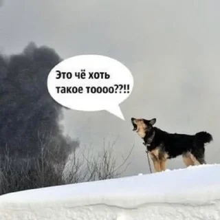 Стикер #ЗБС @tg_zbs - 0