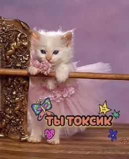 Стикер #ЗБС @tg_zbs - 8