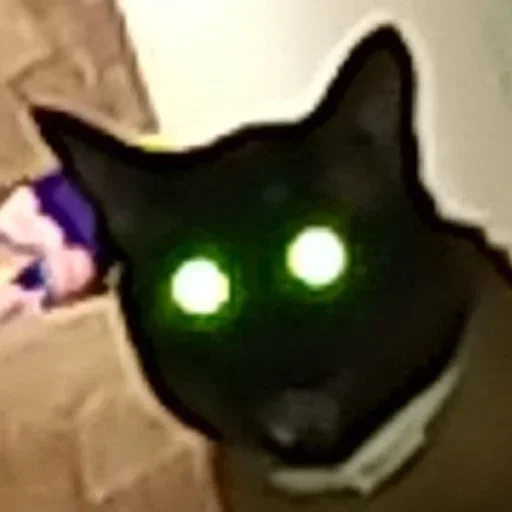 Стикер toad.admins :: @fStikBot - 11