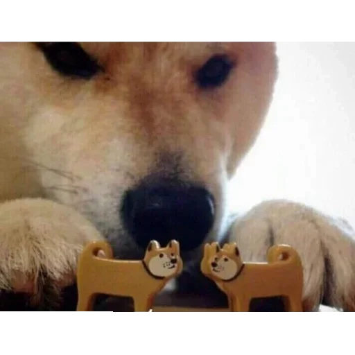 Стикер toad.admins :: @fStikBot - 4