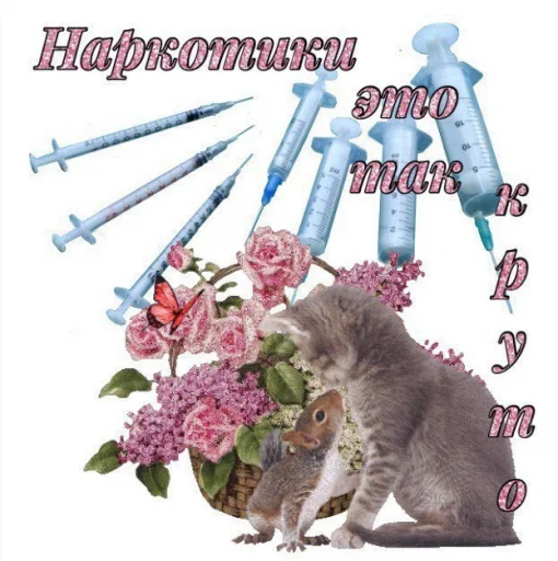 животное кошка цветок