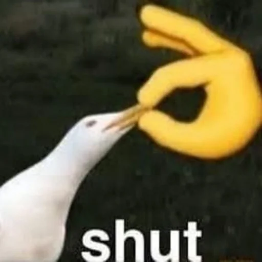 птица СМС животное