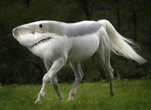 животное трава на открытом воздухе