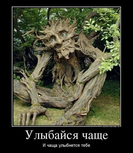 растение дерево СМС