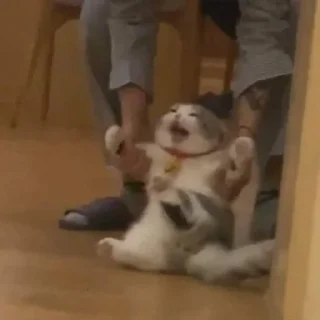 Sticker вешалка убийца 2.0 - 4