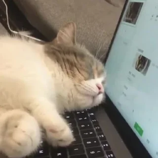 Sticker вешалка убийца 2.0 - 2