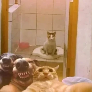 Sticker вешалка убийца 2.0 - 7