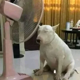 Sticker вешалка убийца 2.0 - 3