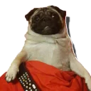 Sticker tolstaya_sobaka - 9