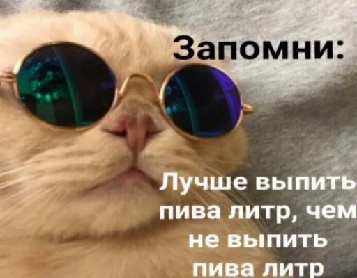 Очки солнечные очки кошки малого и среднего размера