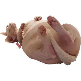 Стикер Жаду (@crabovysticks) - 8