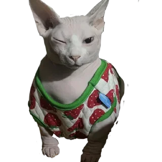 Стикер Жаду (@crabovysticks) - 7