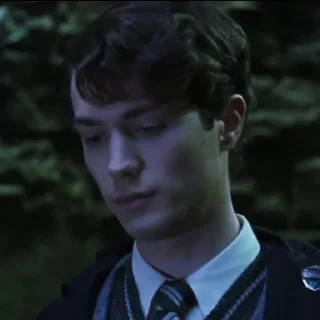 Sticker Tom Riddle @POTTERHOUSE - 1