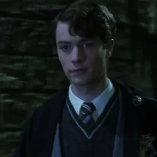 Sticker Tom Riddle @POTTERHOUSE - 11