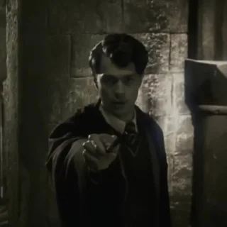 Sticker Tom Riddle @POTTERHOUSE - 2