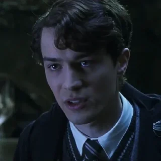 Sticker Tom Riddle @POTTERHOUSE - 6