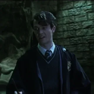 Sticker Tom Riddle @POTTERHOUSE - 7