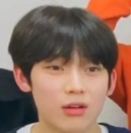 person hairpiece human face