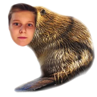 Sticker тонязамужем(ура) - 10