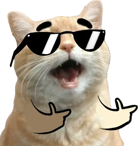 animal felidae small to medium-sized cats