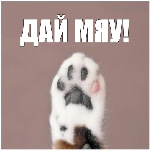 Top Ditch - животное