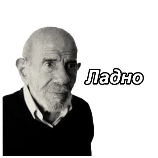 human face man portrait