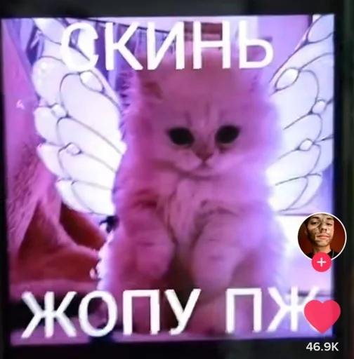 Soooooooer :: @fStikBot - 