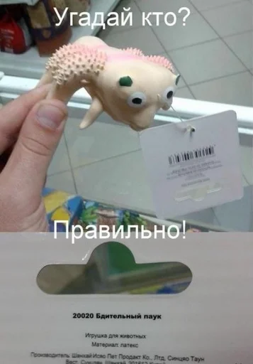 Стикер Soooooooer :: @fStikBot - 10