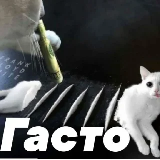 Стикер торч4 - 8