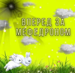 Стикер тор4 - 10