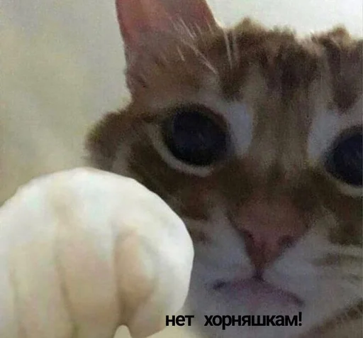 Стикер торчки рулят :: @fStikBot - 9