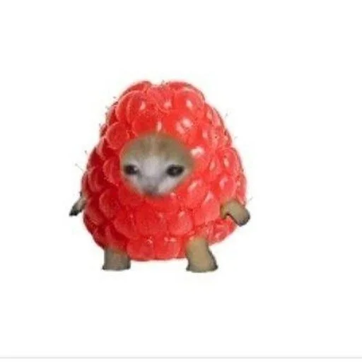 Стикер торчки рулят :: @fStikBot - 4