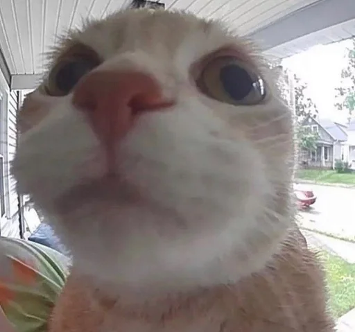 Стикер торчки рулят :: @fStikBot - 3