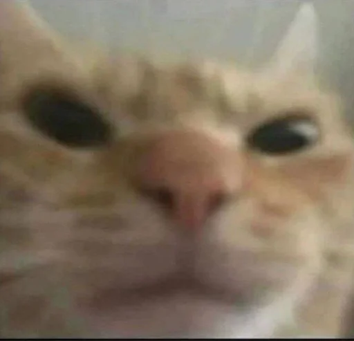 Стикер торчки рулят :: @fStikBot - 2