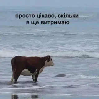 Sticker стікери від віторі - 5