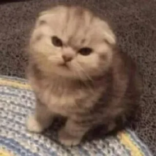 Sticker стікери від віторі - 4