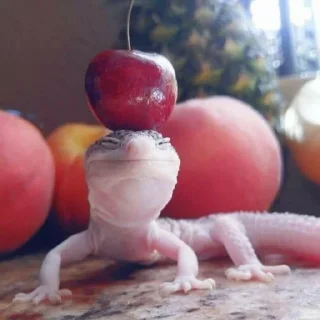 Sticker торины юморески - 5