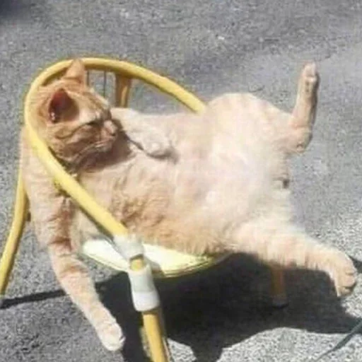 Стикер Тостер или жизнь - 7