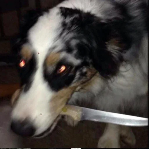 Стикер Тостер или жизнь - 0