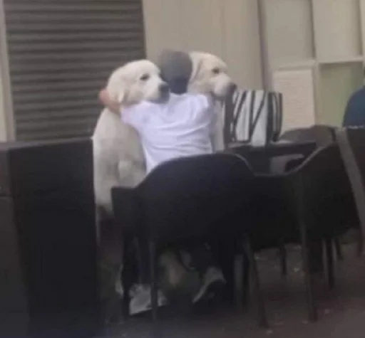 мебель комнатный стена